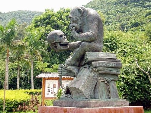памятник шимпанзе