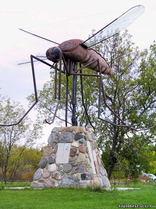 необычные памятники, памятник комару 