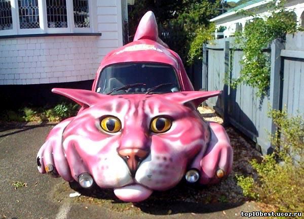 автомобиль - кошка