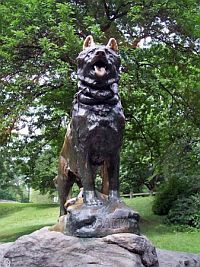Памятник собаке Балто